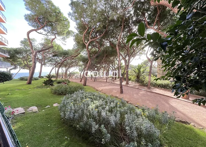 Cavall Bernat 10 Apartman